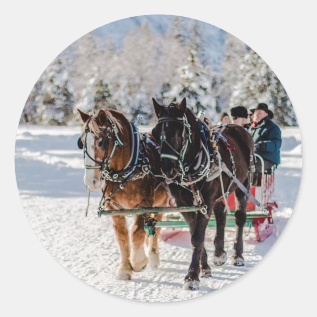 Adesivo Wonderland de inverno (Frente)