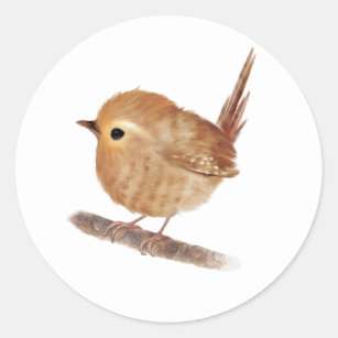 Adesivo Wren Bird Personalizado
