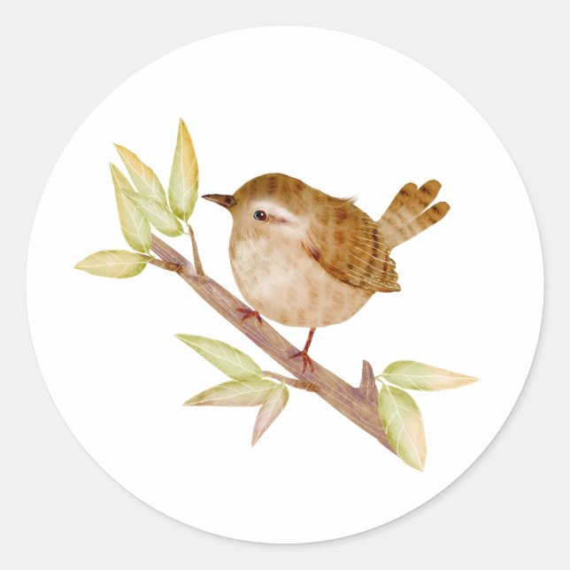 Adesivo Wren Bird Stickers (Frente)