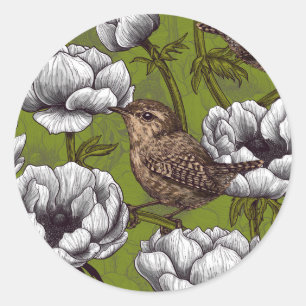 Adesivo Wrens no jardim branco de anêmonas
