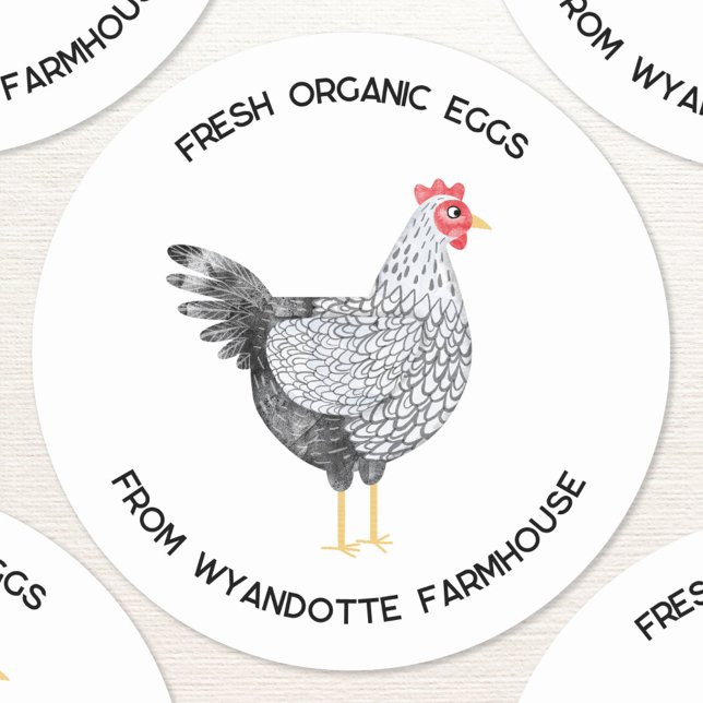Adesivo Wyandotte Galinha Fazenda de Ovos Orgânicos Fresco (Fresh Organic Eggs custom text farm stickers featuring a watercolor painting of a Wyandotte chicken )