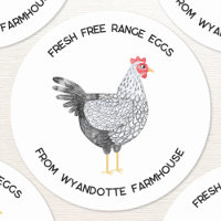 Wyandotte Galinha Fresca Ovos De Intervalo Livre