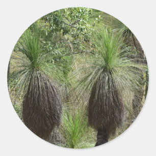 ADESIVO XANTHORRHOEA GRASS TREE BUSANT AUSTRÁLIA