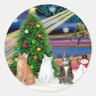 Adesivo Xmas Magic - 3 gatos (2 comprimidos - branco)