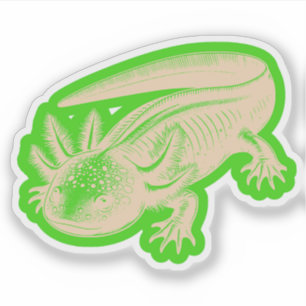 Adesivo Xolotl Novos Designs De Madeira Profunda Palete Vi