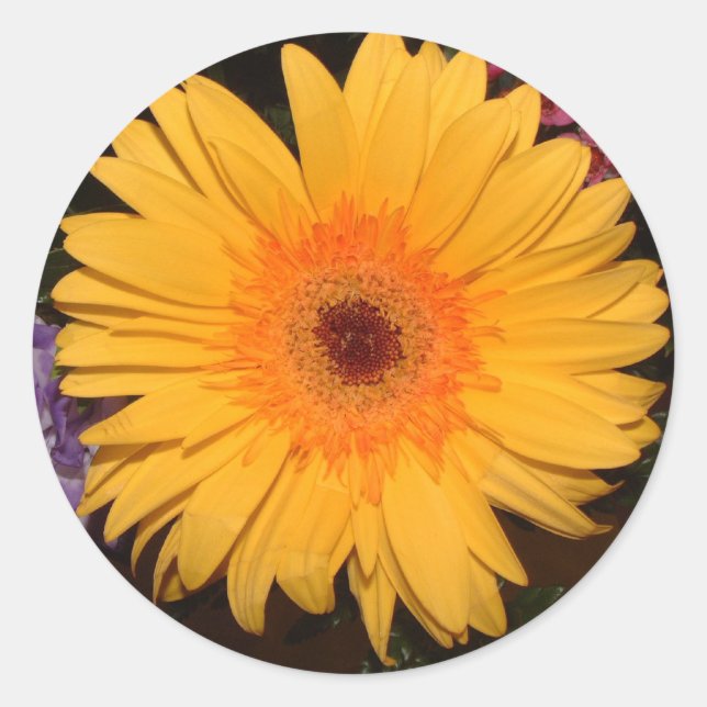 Adesivo Yellow Gerber Daisy (Frente)