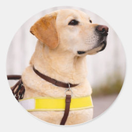 Adesivo Yellow Labrador Guide Dog Graduation Envelope Seal