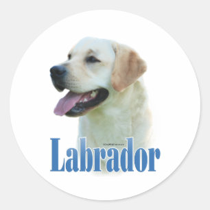Adesivo Yellow Labrador Retriever Name - Sticker