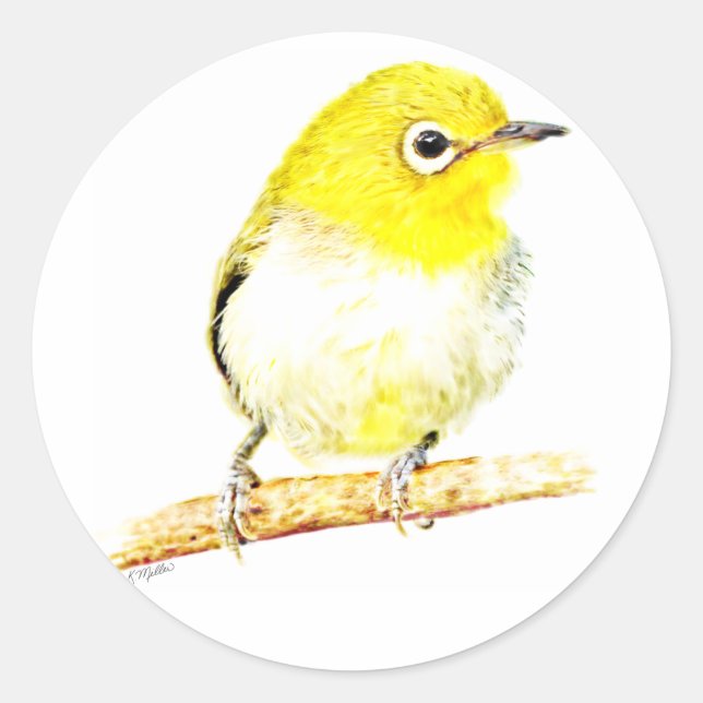 Adesivo Yellow Viero (Frente)