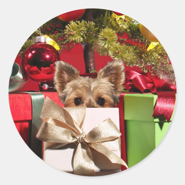Adesivo Yorkie Natal (Frente)