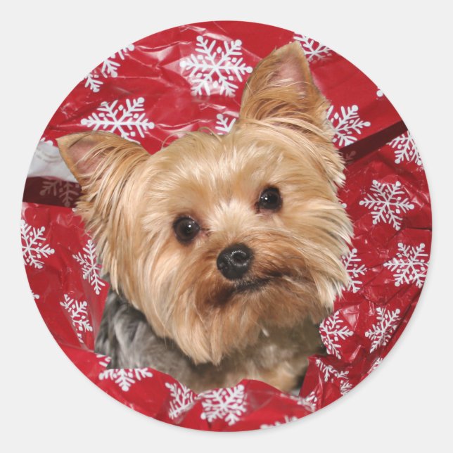 Adesivo Yorkie Natal (Frente)