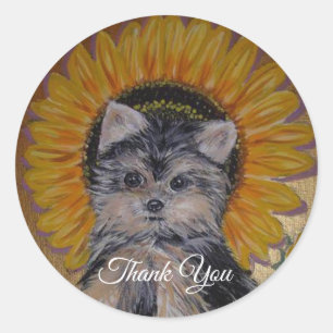 Adesivo Yorkie Pequeno e Fofo e Girassol Obrigado