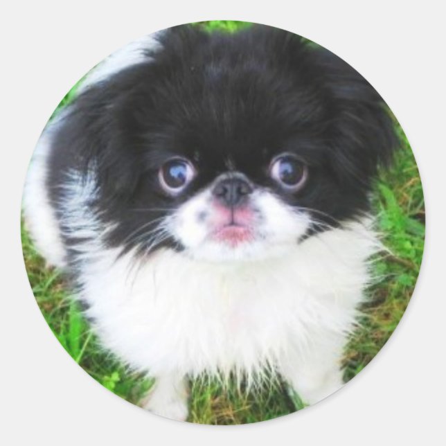 Adesivo Yoshi Puppy Sticker (Frente)