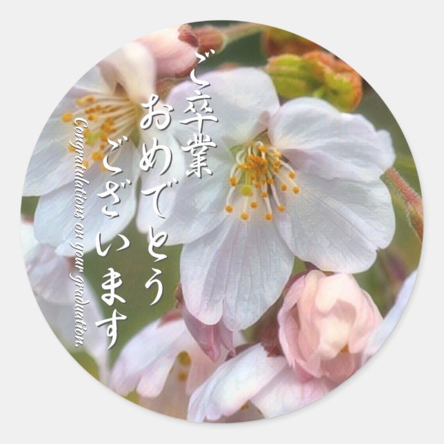 Adesivo Yoshino Cherry ラウンドシール (Frente)