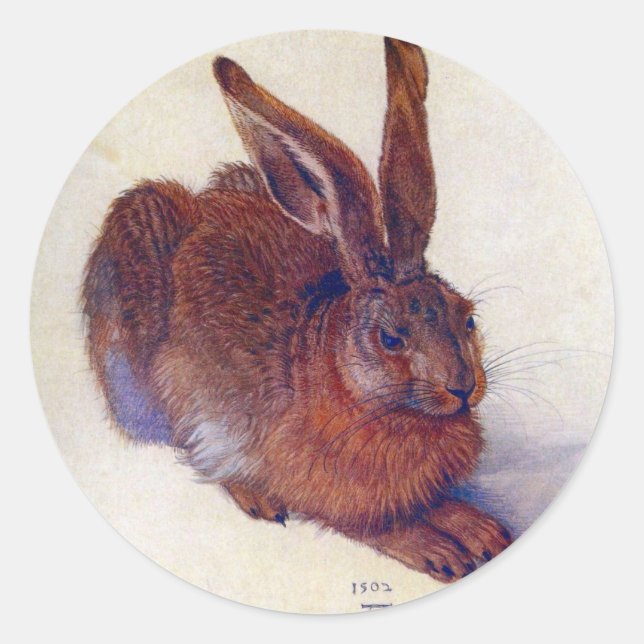 Adesivo Young Hare by Albrecht Durer, Renaissance Fine Art (Frente)