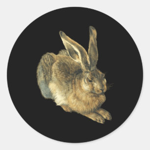 Adesivo Young Hare Feldhase Por Albrecht Durer