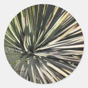 Adesivo Yucca RSVP Radial Selo de Casamento