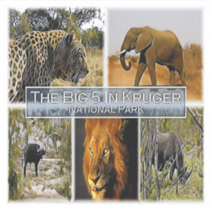 ADESIVO ZA * ÁFRICA DO SUL - O GRANDE 5 EM KRUGER N. P.