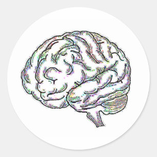 Adesivo Zany Brainy