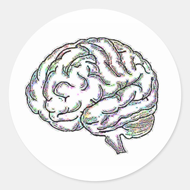 Adesivo Zany Brainy (Frente)