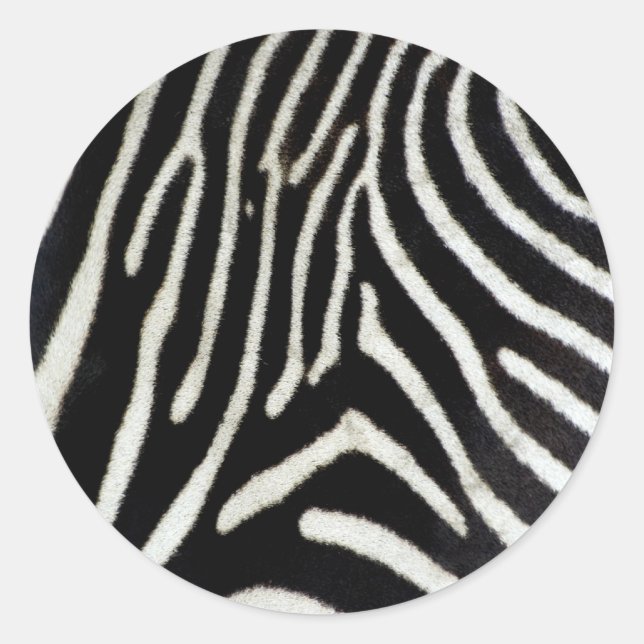 Adesivo Zebra (Frente)