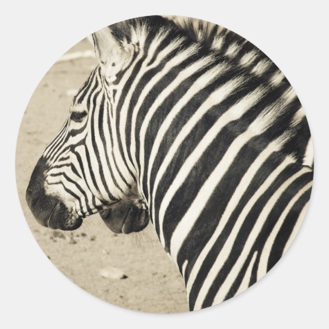 Adesivo Zebra (Frente)