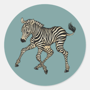 Adesivo Zebra do bebê