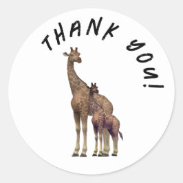 Adesivo Zebra Personalizável Obrigado