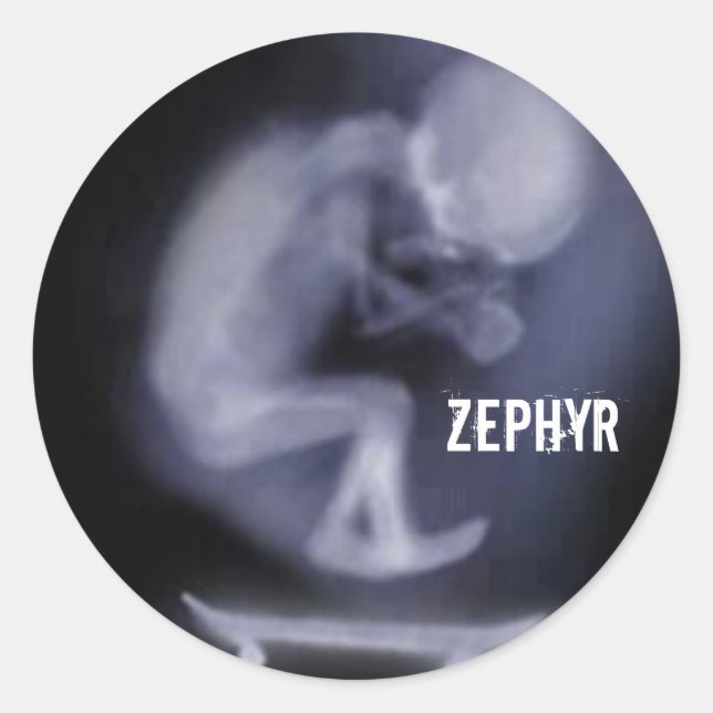 adesivo Zephyr Skate (Frente)