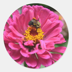Adesivo Zínia Rosa e Abelha Bumble