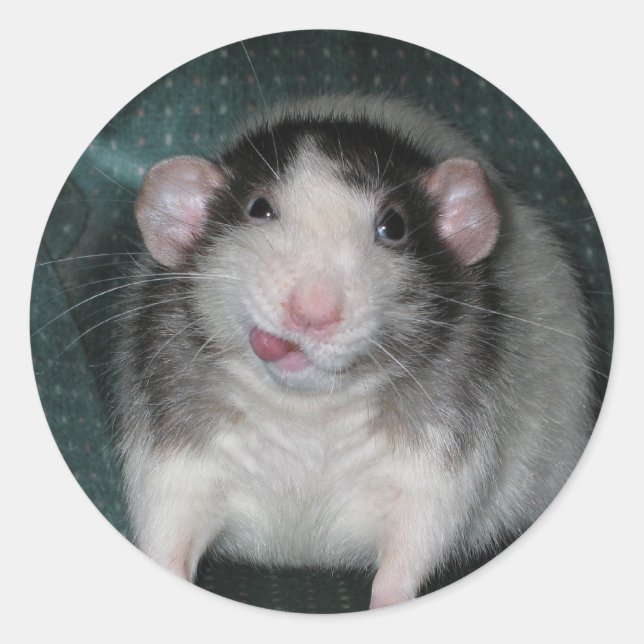 Adesivo Zorro (Frente)