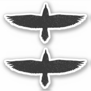 Adesivos