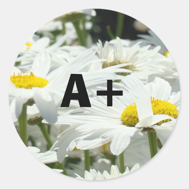 Adesivos A+ Alunos Nota Professores Escola Daisy (Frente)