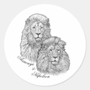 Adesivos - Acinonyx e Napoleão