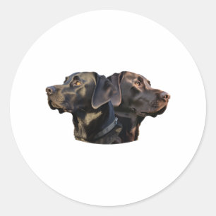 Adesivos Black Labrador