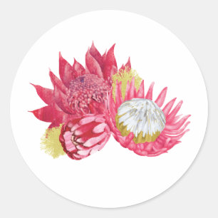 Adesivos Botânicos da Flor Nativa