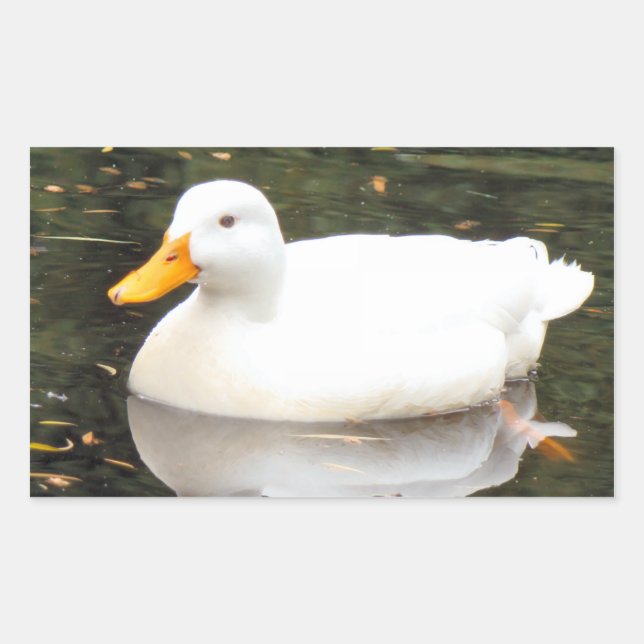 Adesivos brancos (Frente)