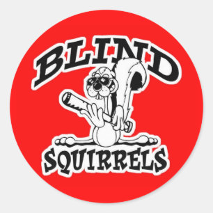 Adesivos BS para-brisas