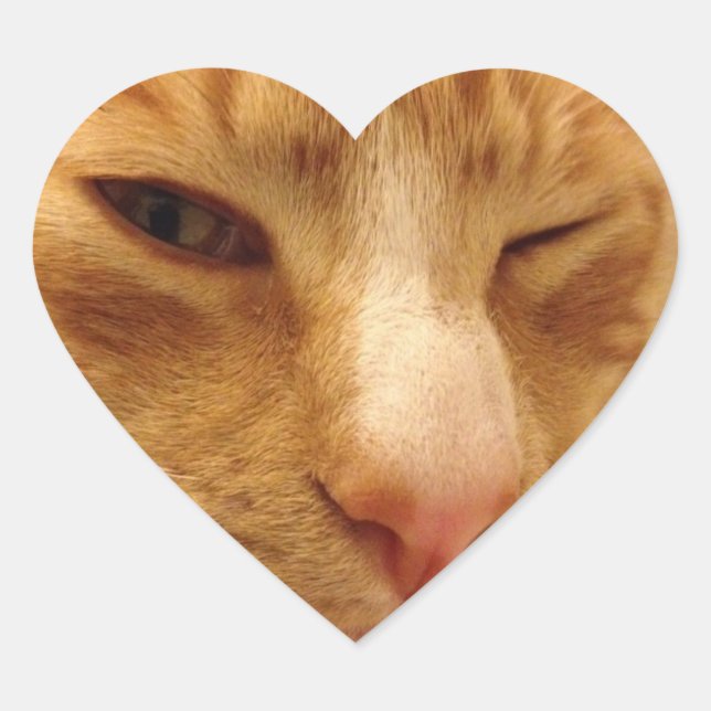 Adesivos CGK (Frente)