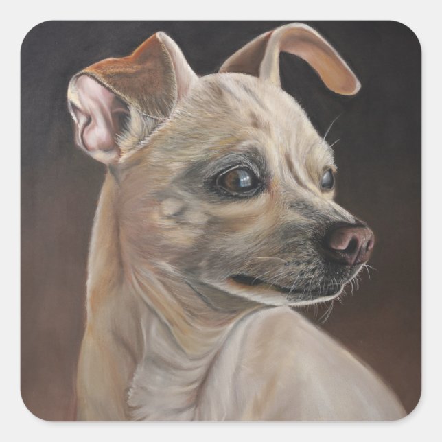 Adesivos Chihuahua (Frente)