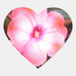 Adesivos cor-de-rosa