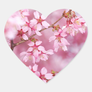 Adesivos cor-de-rosa com forma de coração e Primav