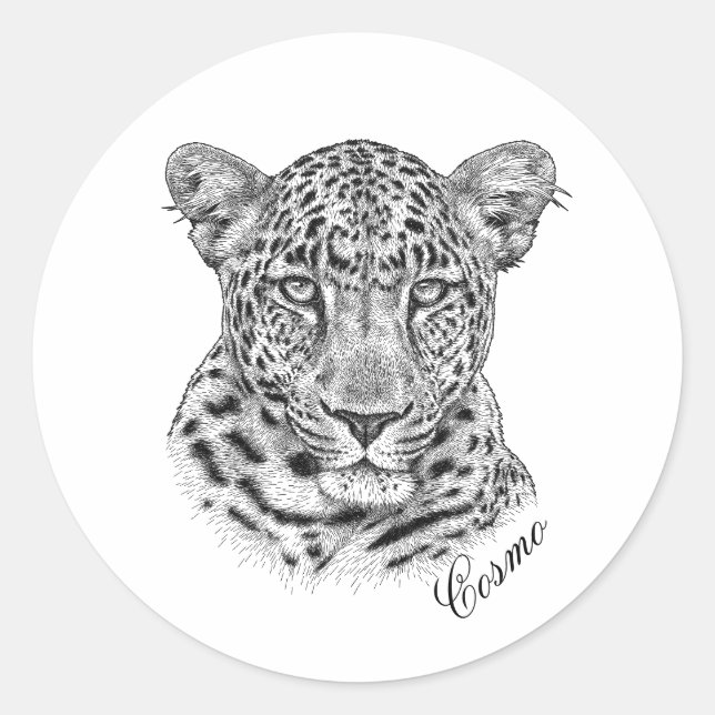 Adesivos - Cosmo (Frente)