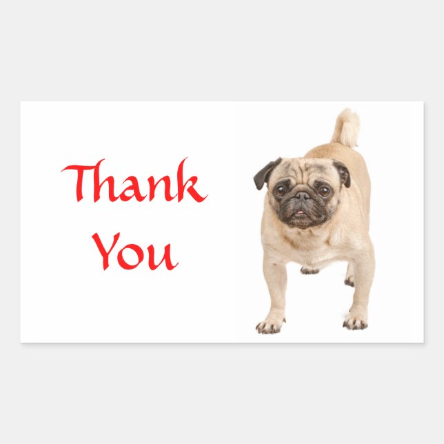 Adesivos de Agradecimento Pug Cachorrinho (Frente)
