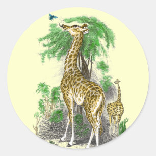 Adesivos de aniversário de girafa