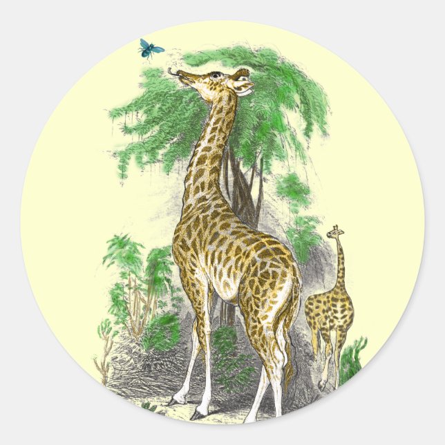 Adesivos de aniversário de girafa (Frente)