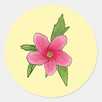 Adesivos de Aniversário de Hibisco Rosa Tropical