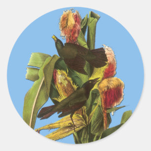 Adesivos de Arte de Pássaros com Pássaros