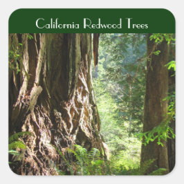 Adesivos de árvores de Redwood da Califórnia