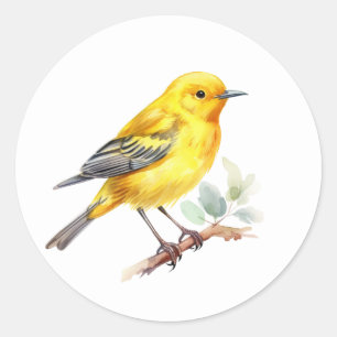 Adesivos de aves amarelo-Warbler